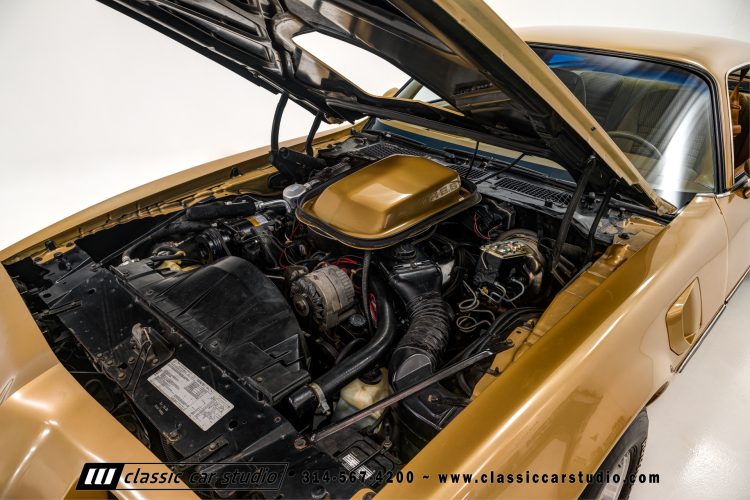 79_Pontiac_Trans_Am_2253-2